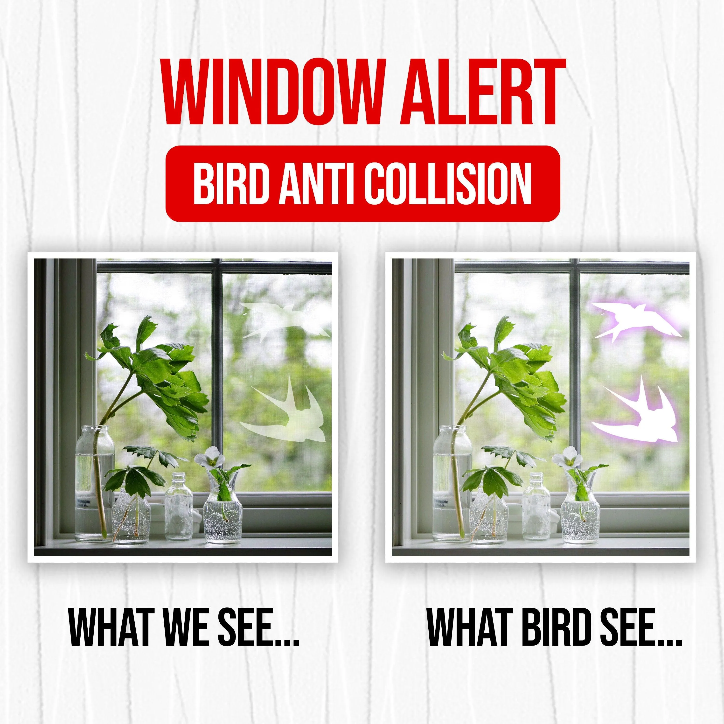 24x Anti-Collision Window Bird Stickers Decals - Protect Birds from Window Collisions