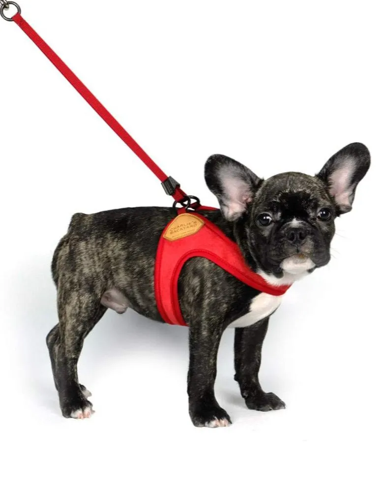 Adjustable Easy Dog Harness in Red