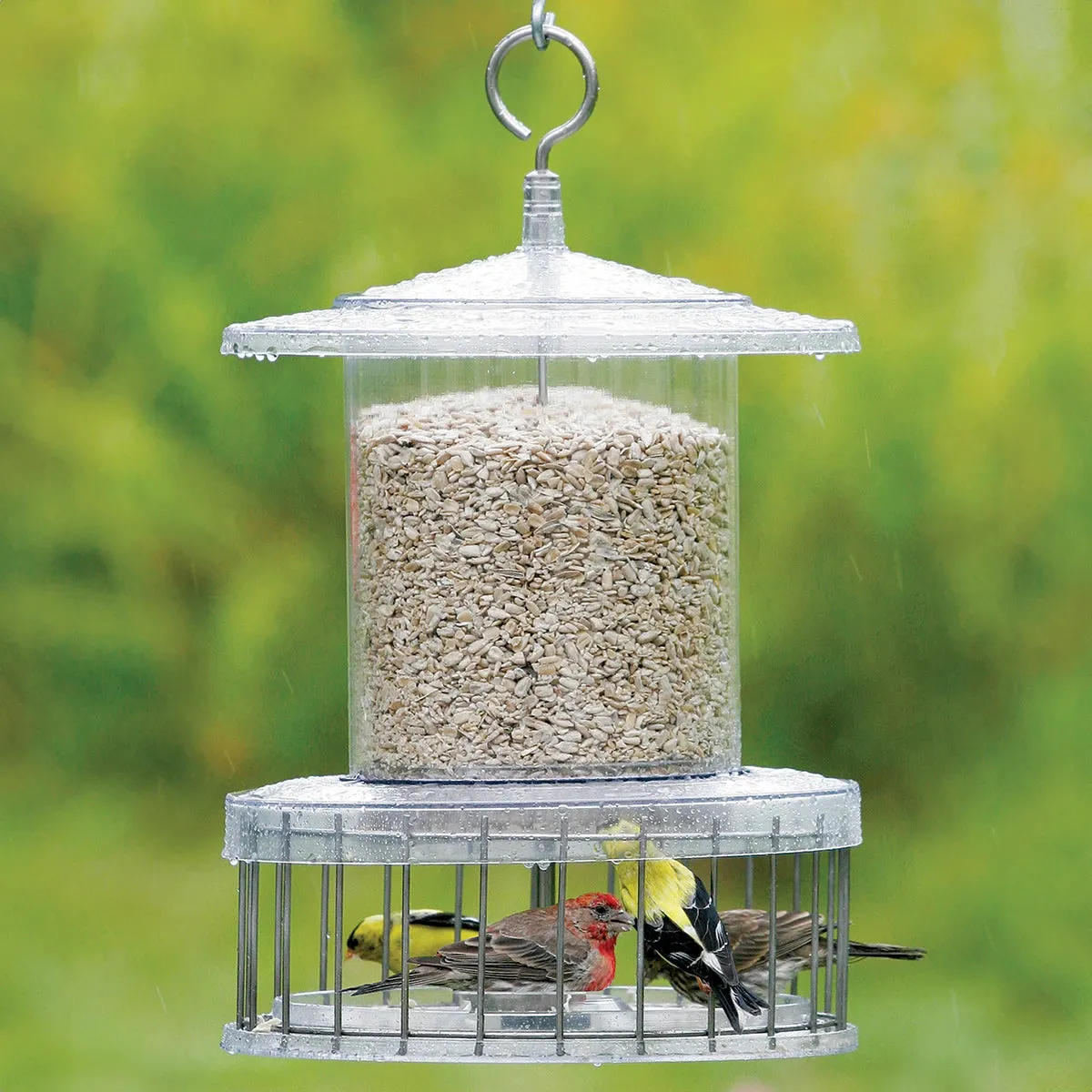 All Weather Feeder with Wire Cage