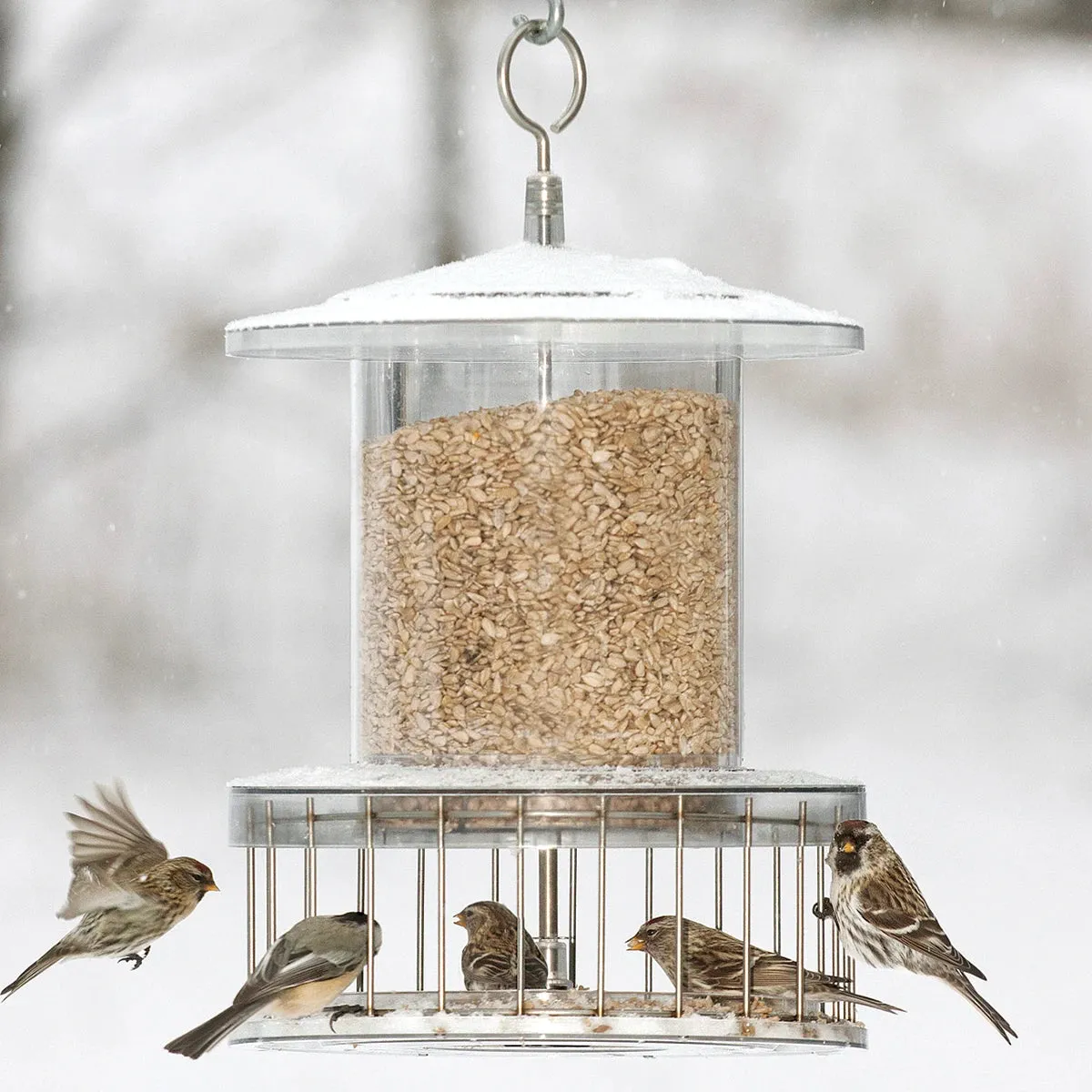 All Weather Feeder with Wire Cage