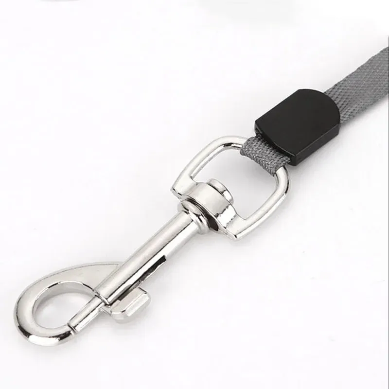 Automatic Retractable Dog and Cat Leash