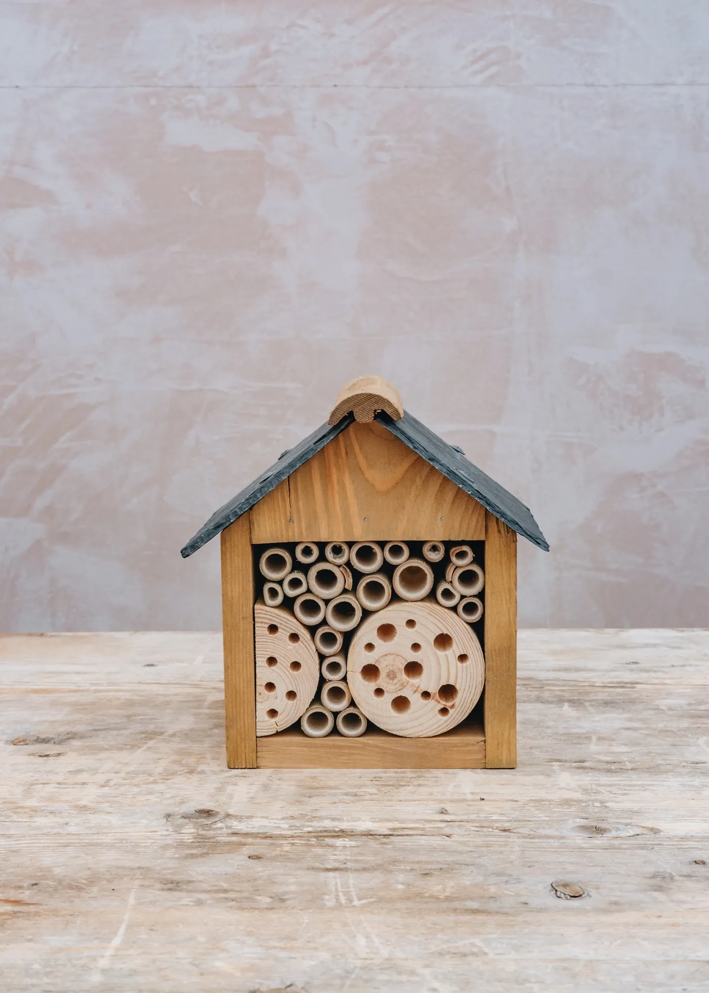 Bee and Insect Hut