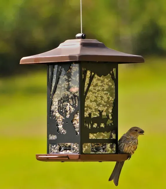 Bird Feeder - Lantern Wilderness