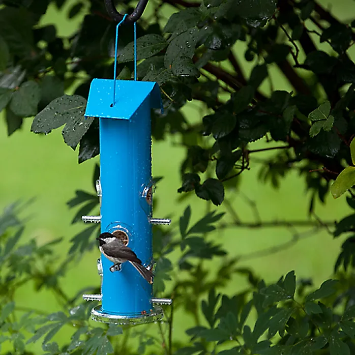 Bird Feeder - Metal Tube (Blue)