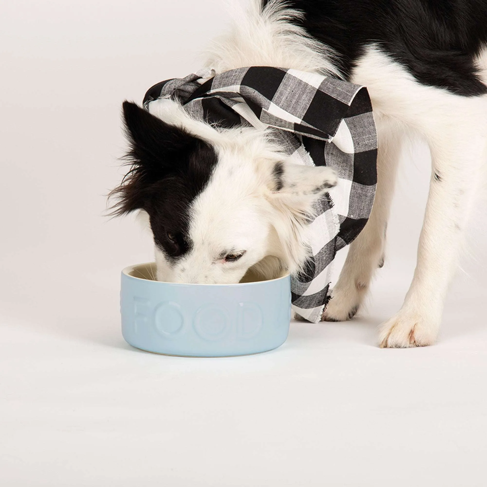 Ceramic Classic Dog Food Bowl