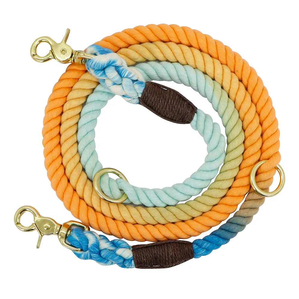 Colorful Gradient Dog Training Leash