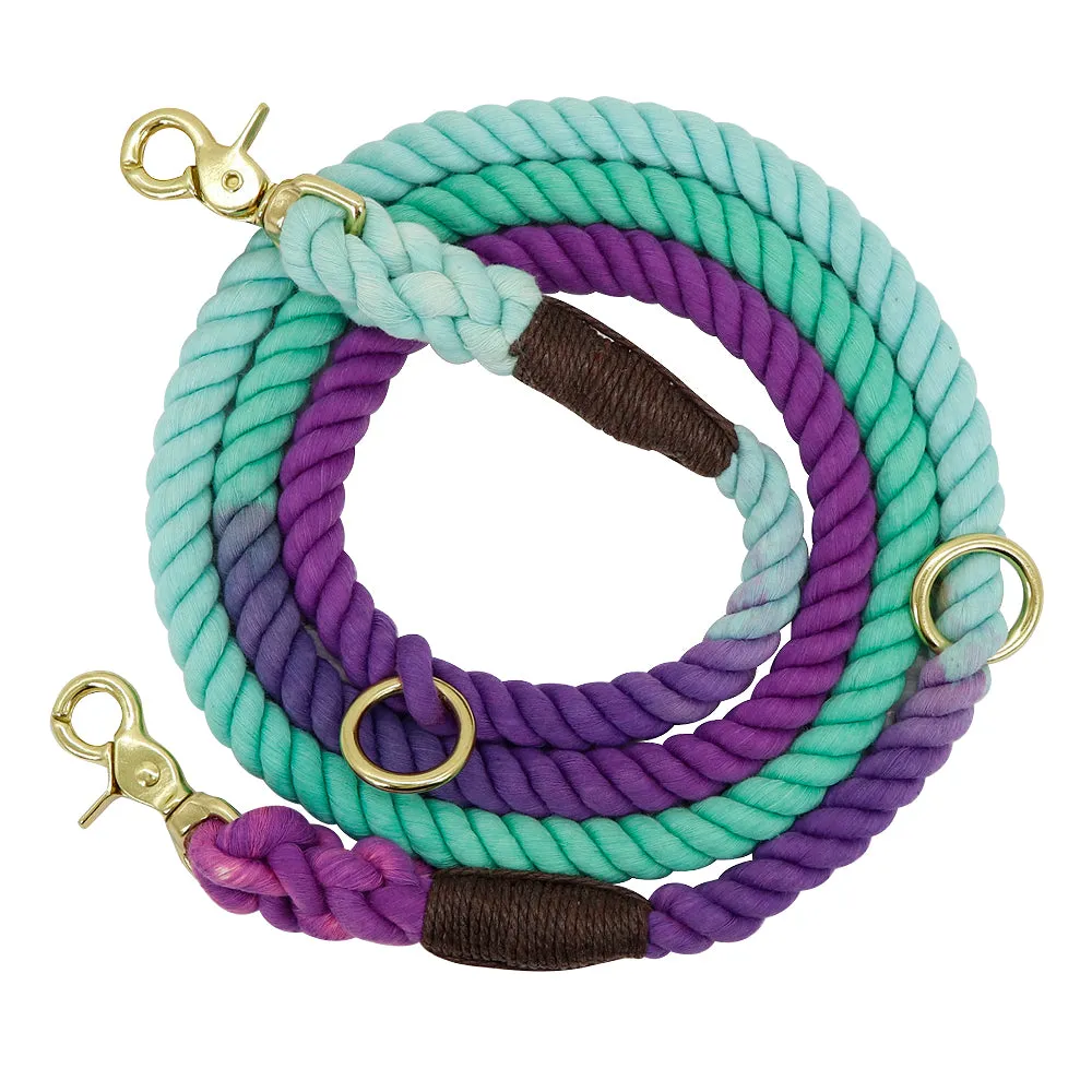 Colorful Gradient Dog Training Leash