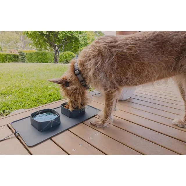 EzyDog Roll-a-Bowl Travel Dog Bowl