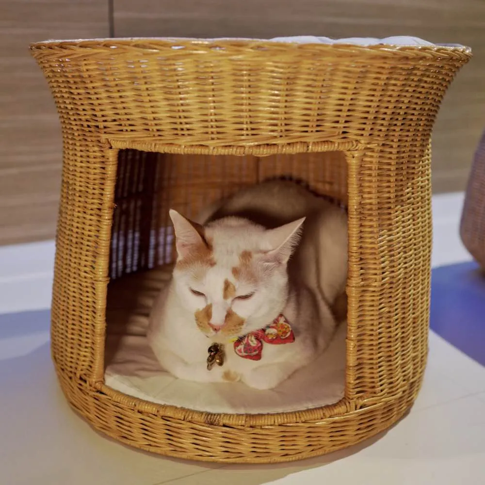 Furnish Cupcake Cat Bed (Natural)