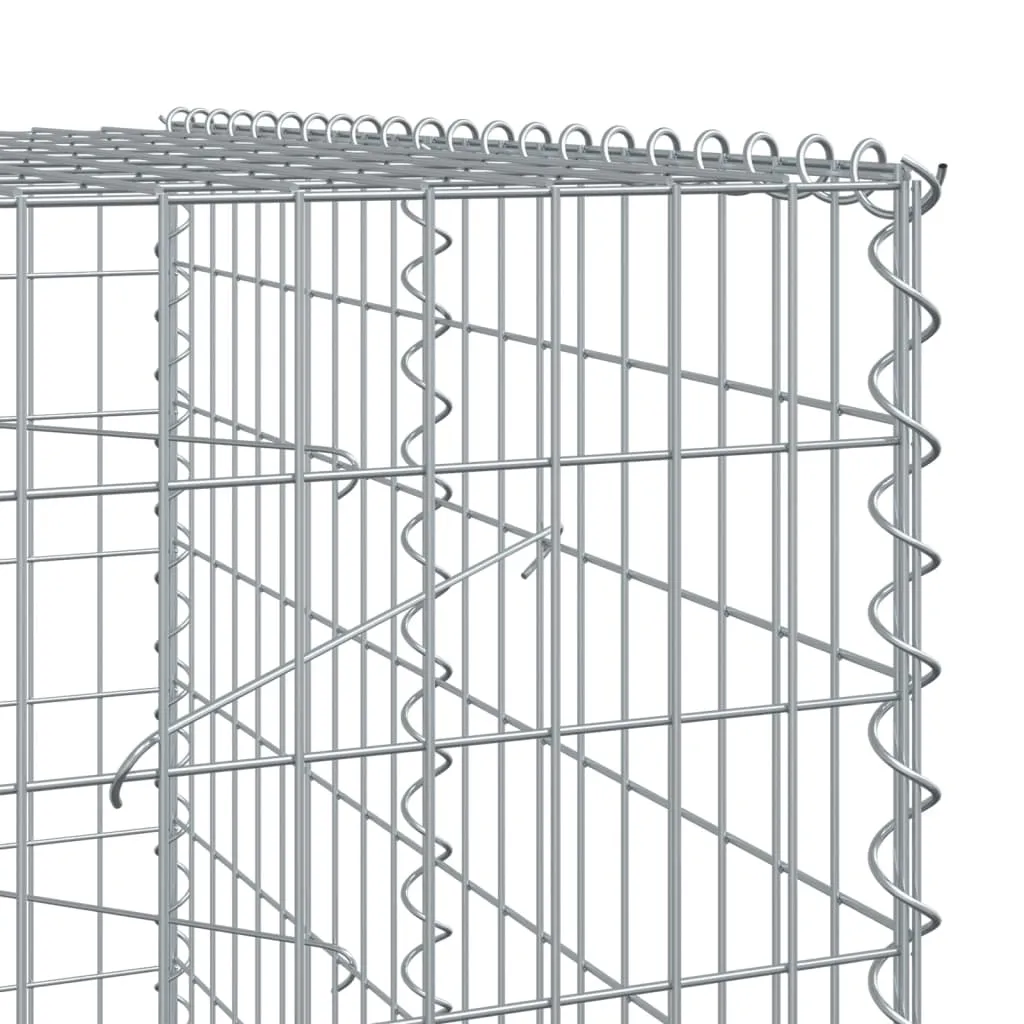 Gabion Basket with Cover 250x100x200 cm Galvanised Iron