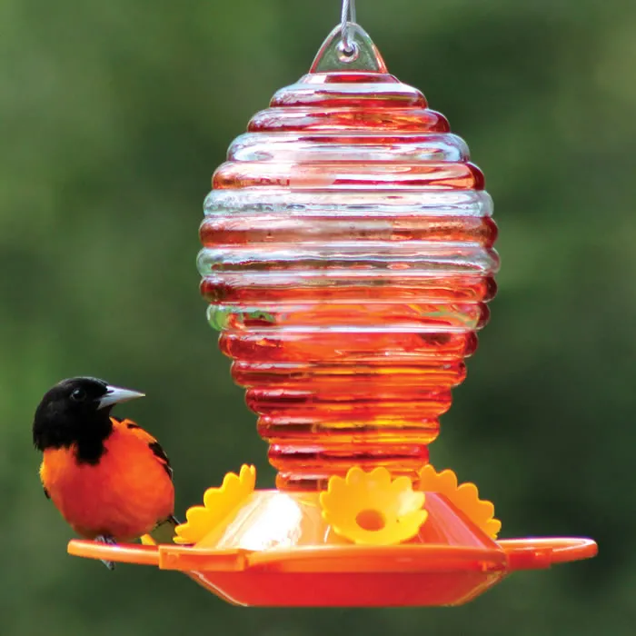 Glass Oriole Feeder with Painted Rings