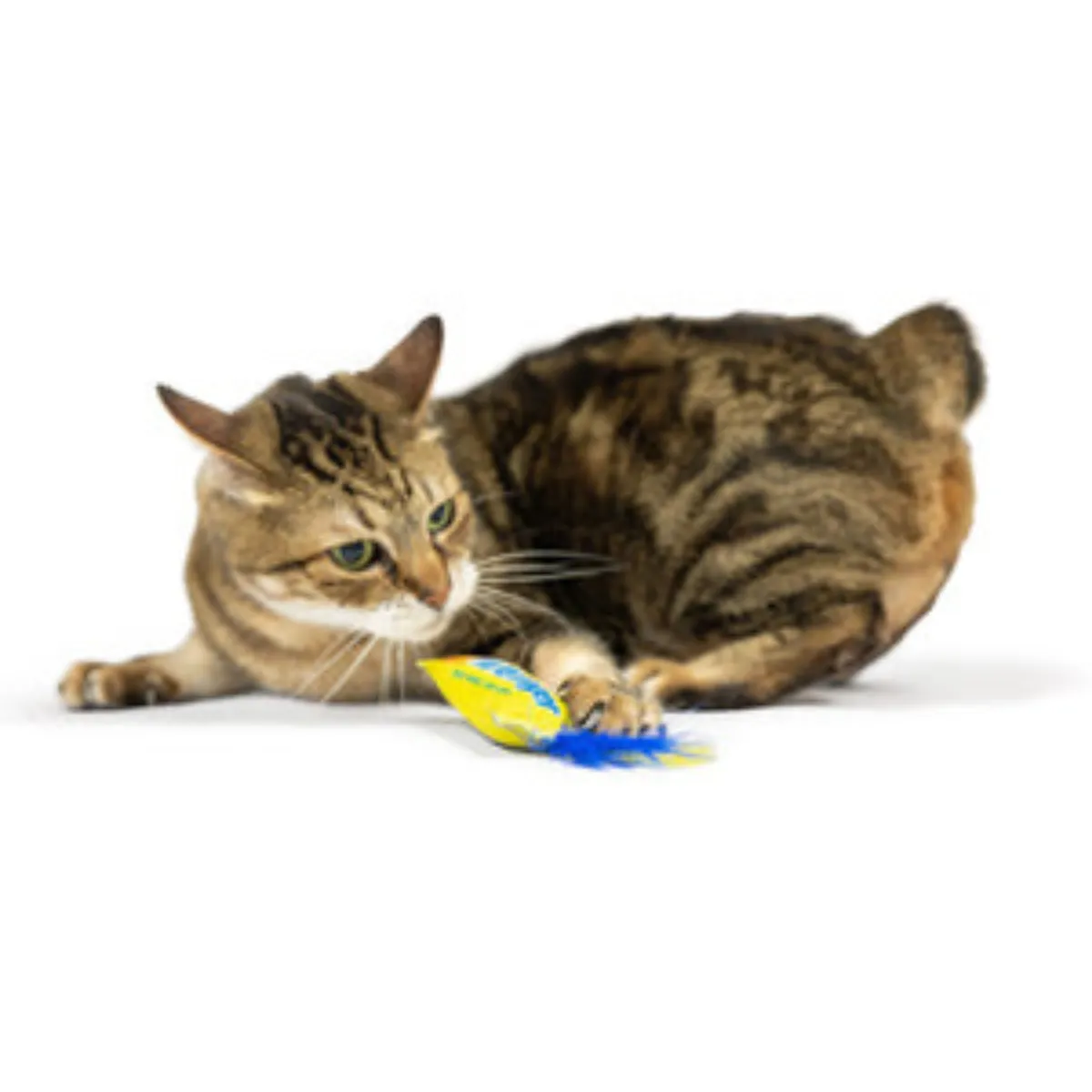 H&K Flufferfinger Cat Toy