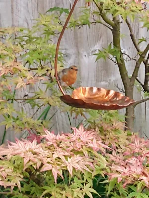 Handmade Copper Hanging Bird Feeder | Made in the UK | Durable & Weatherproof | Attracts Birds to Your Garden