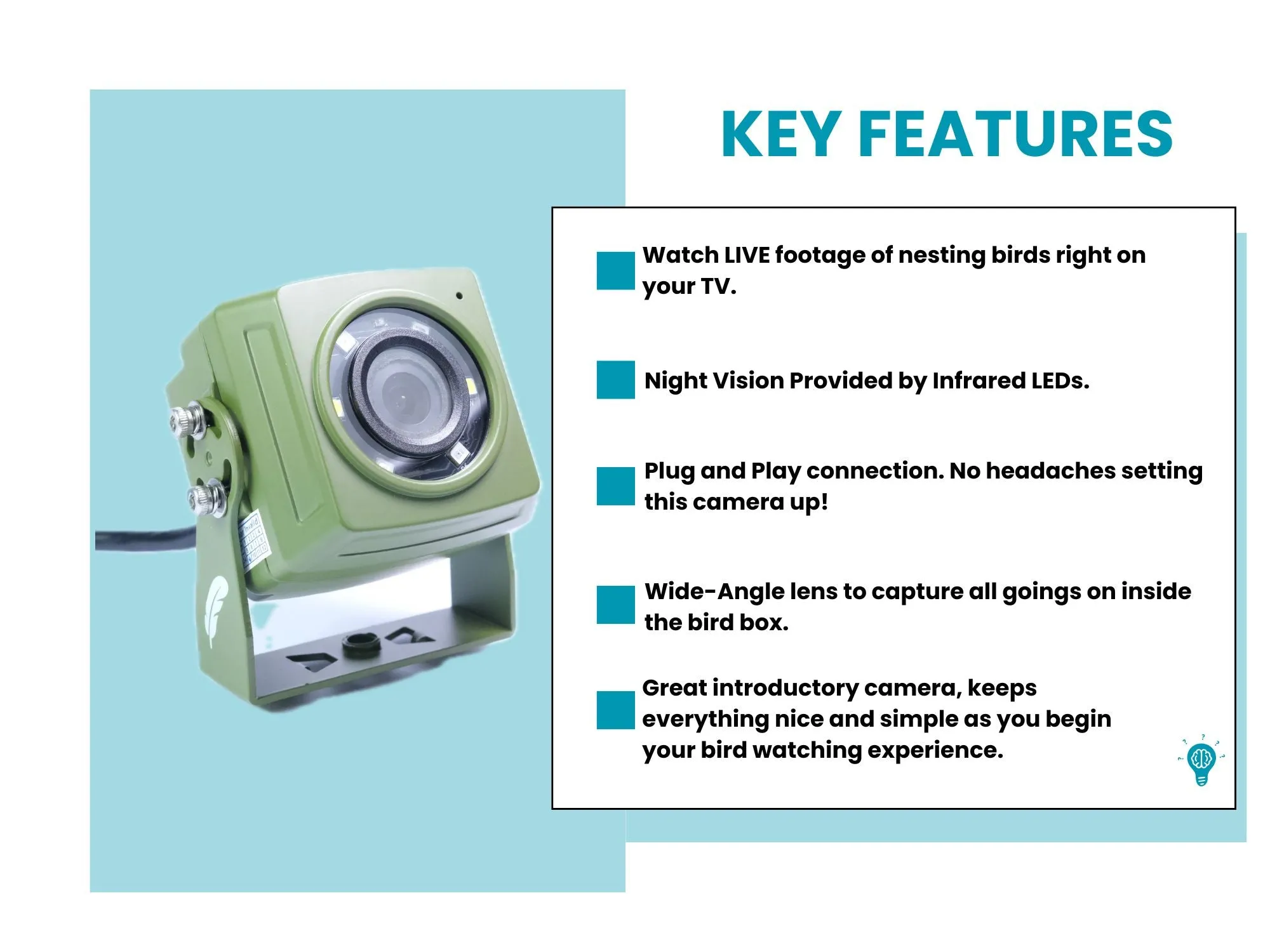 HD Cable Connection Bird Box & Wildlife Camera (Camera only)