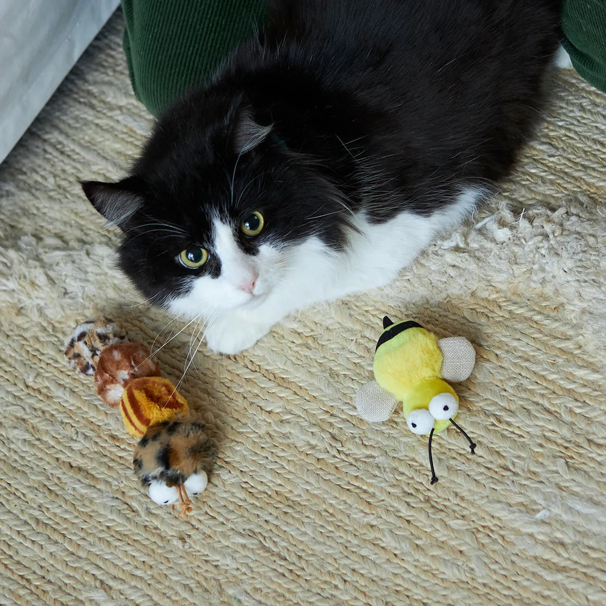 Kazoo Busy Bee Cat Toy^^^