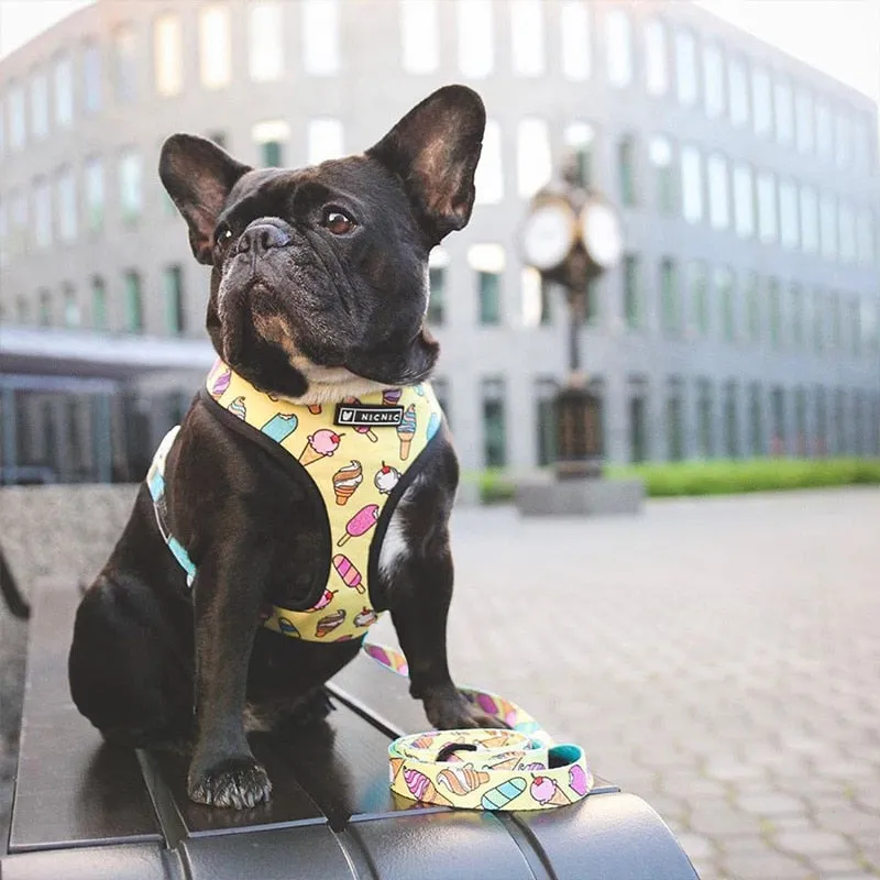 Leash / Harness SET For French Bulldogs