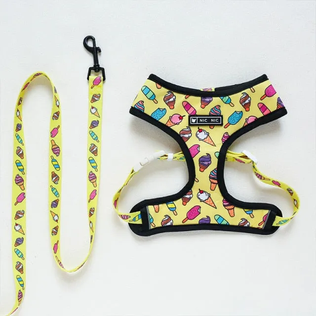 Leash / Harness SET For French Bulldogs