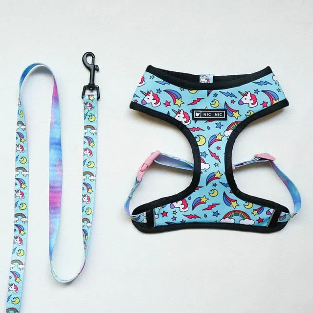 Leash / Harness SET For French Bulldogs