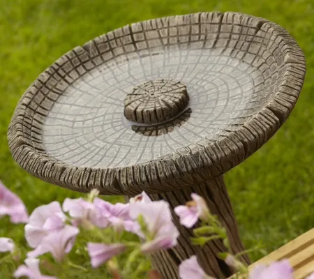 Log Bird Bath