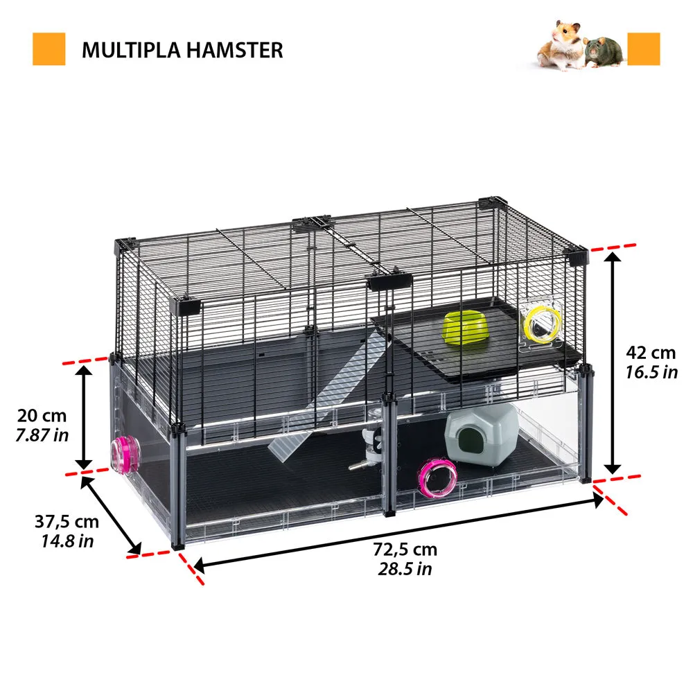 MULTIPLA HAMSTER