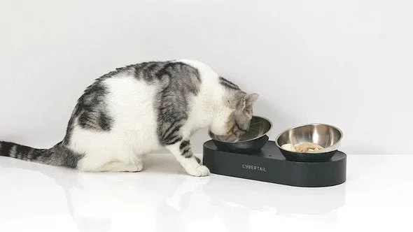 Nano Metal Stainless Cat Bowl