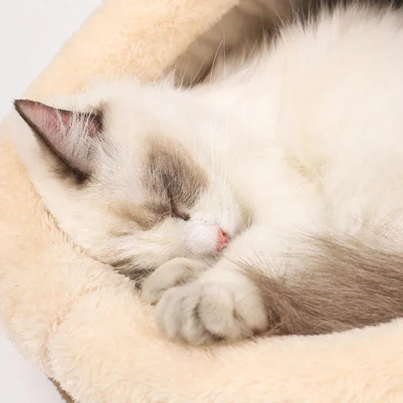 Pat and Pet Emporium | Pet Beds | Soft Cushion Kitty House