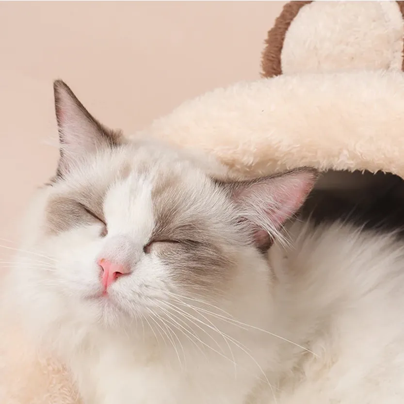 Pat and Pet Emporium | Pet Beds | Soft Cushion Kitty House