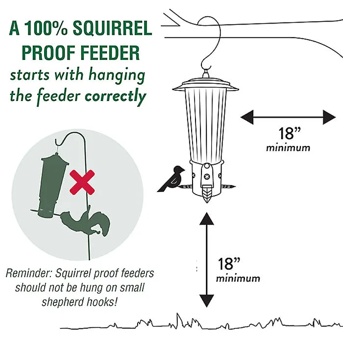 Perky-Pet Squirrel-Be-Gone Max Feeder