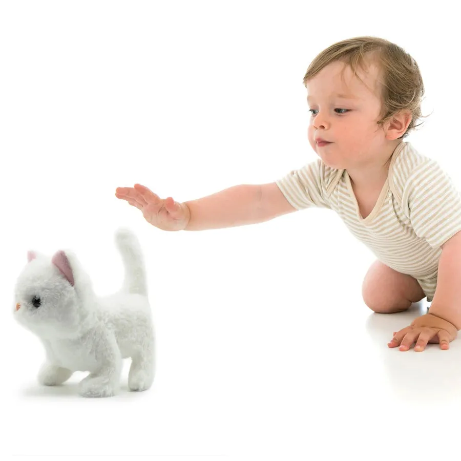 Pugs At Play Casper Walking Cat