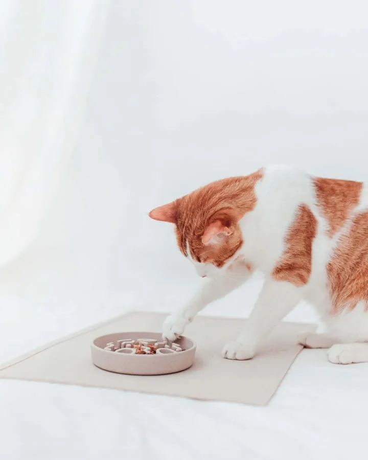 SERVE Mat for food and water bowl - Merengue 50x35cm