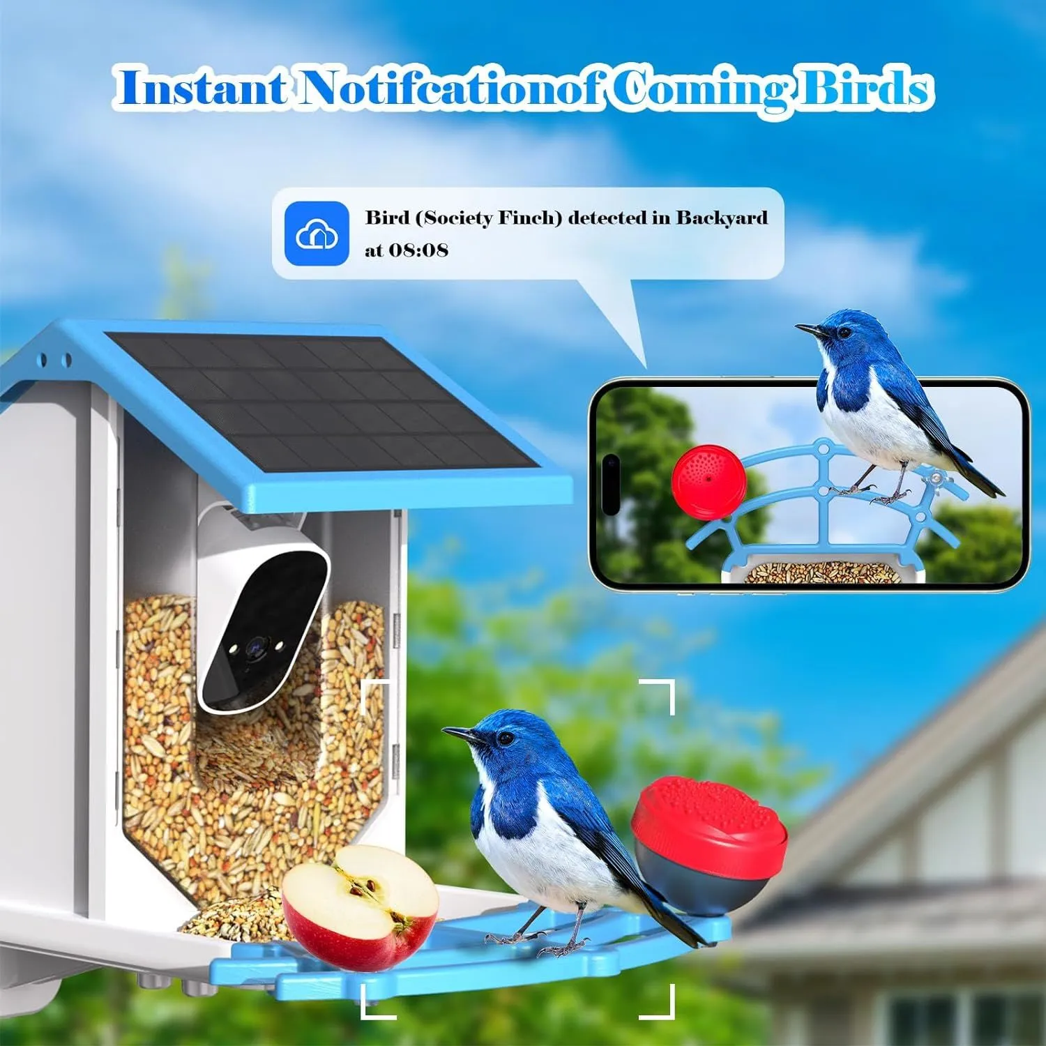 Smart Bird Feeder With Camera,Solar-Powered WiFi 4MP Live Camera,AI Identify Bird Species Auto Capture Garden Bird Watching&Motion Detection,Ideal Gift For Bird Lovers,Blue