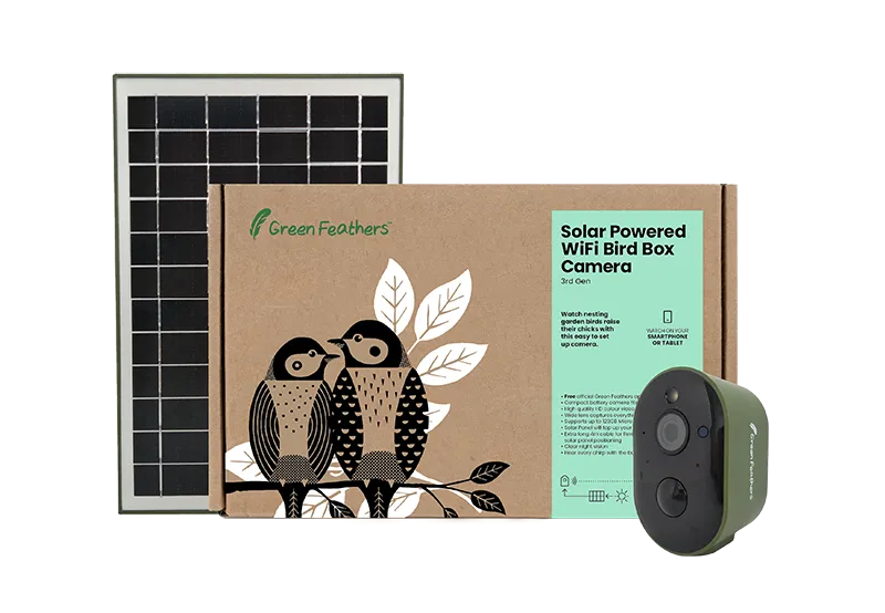 Solar Powered WiFi Bird Box HD Camera Starter Pack