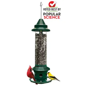 Squirrel Buster Plus Bird Feeder #1024