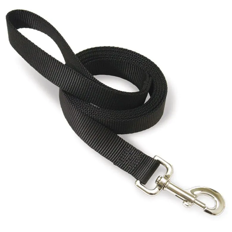 The Premier Leash, 1" x 6 ft