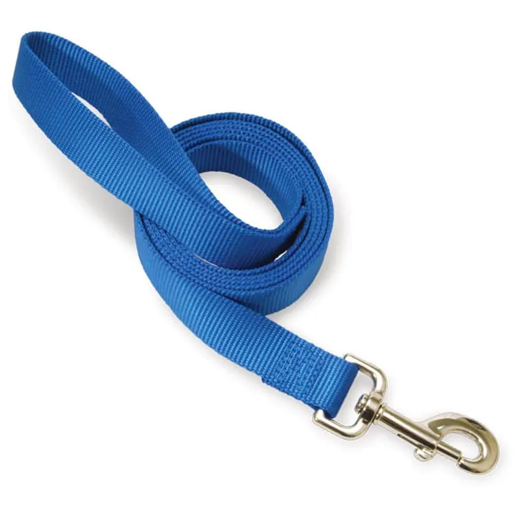 The Premier Leash, 1" x 6 ft