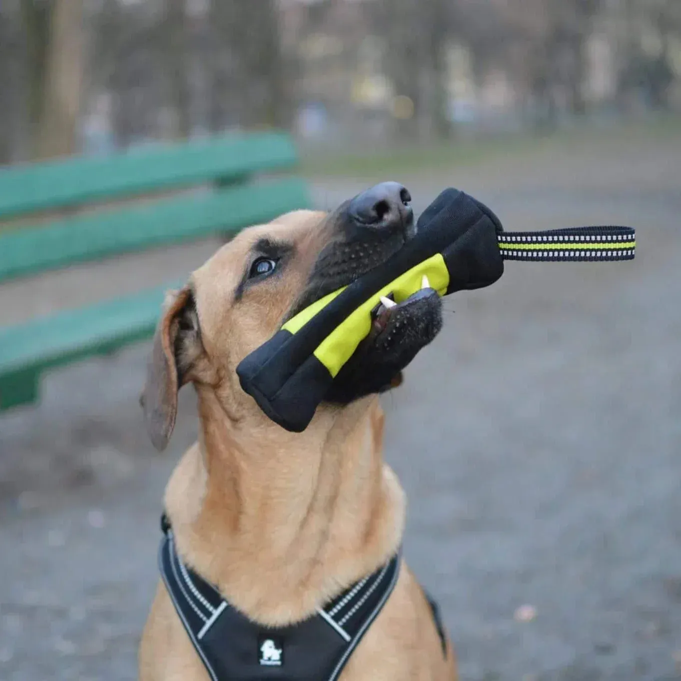 Truelove High-Quality Dog Treat Pouch - Durable, Zippered, and Versatile