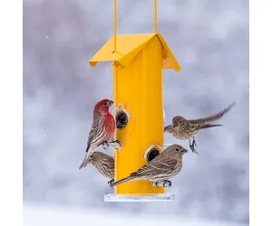 Yellow 4 Port Seed Feeder